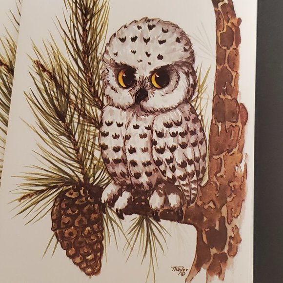 Greeting Cards 9 Red Farm Studio Snowy Owl - Picture 4 of 6